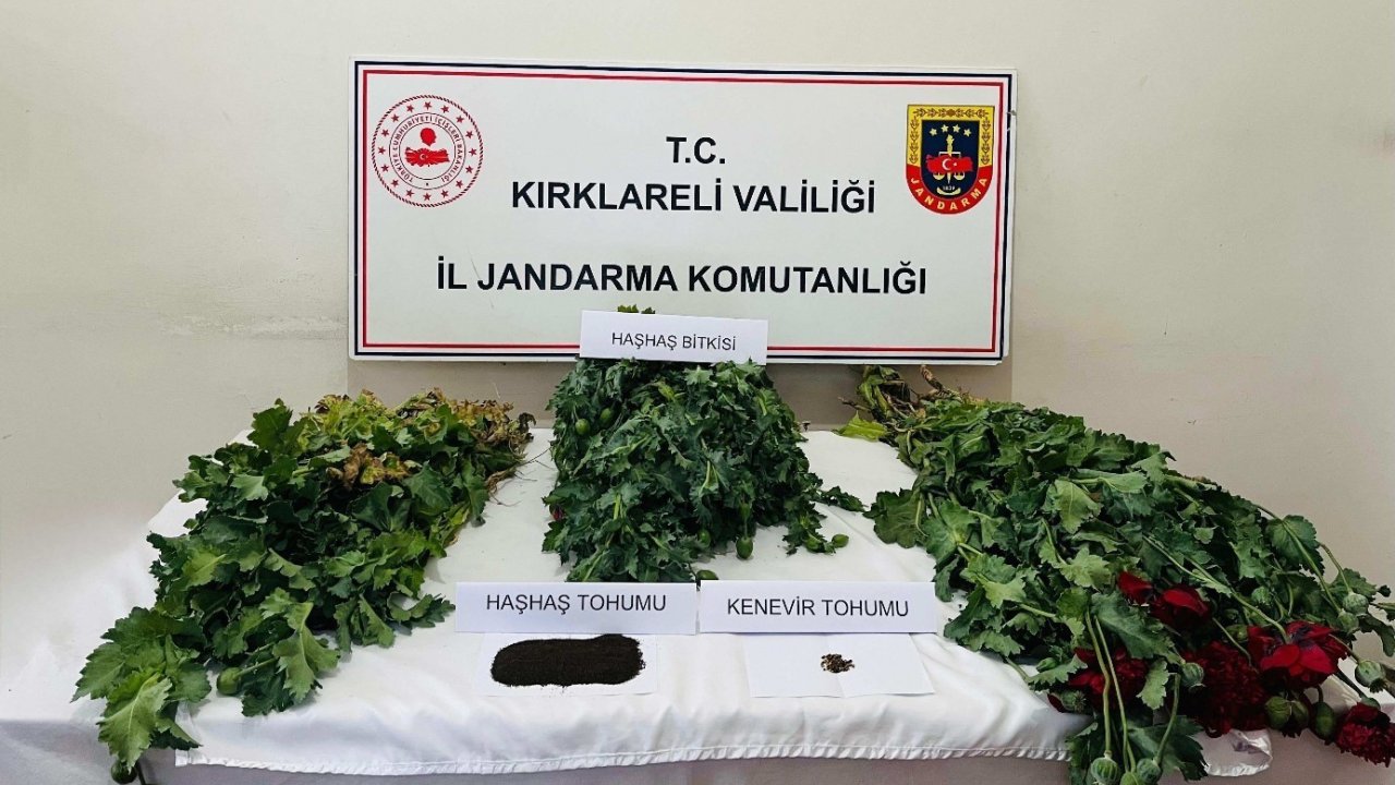 Kırklareli’nde Uyuşturucu Operasyonu: 8 Gözaltı