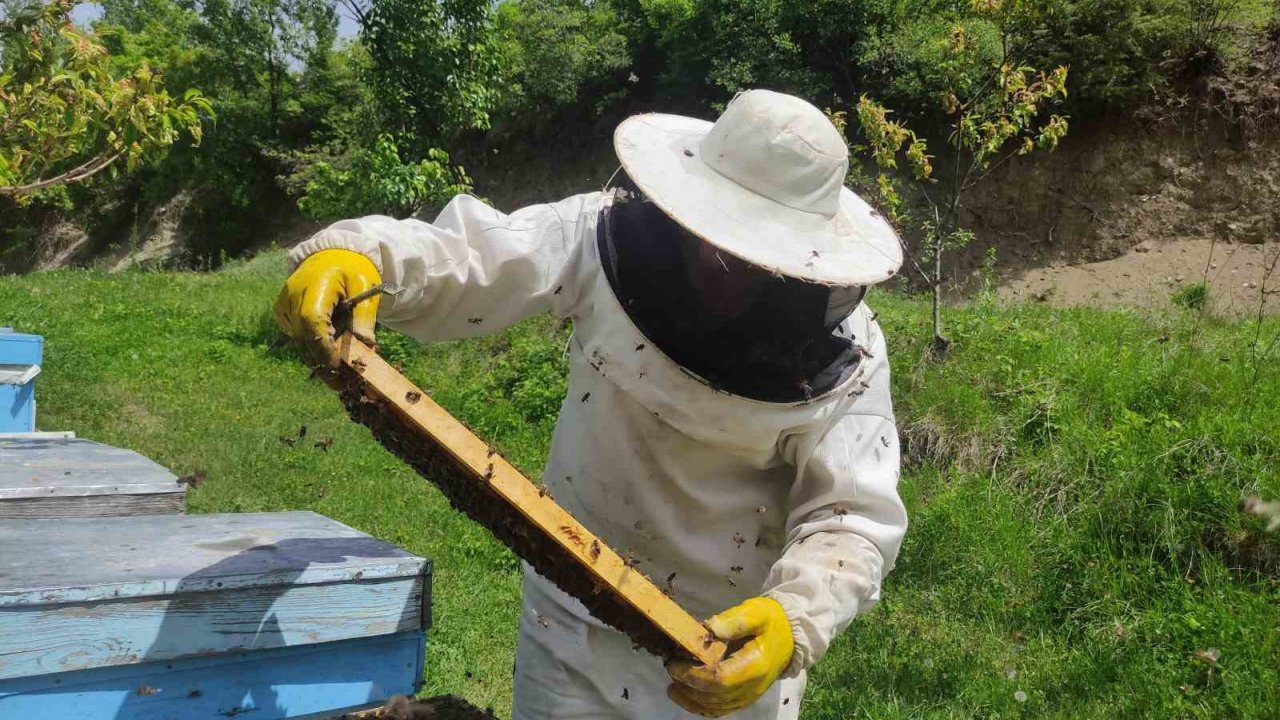 Ardahan’da Arıcılar Yeni Sezona Hazırlanıyor