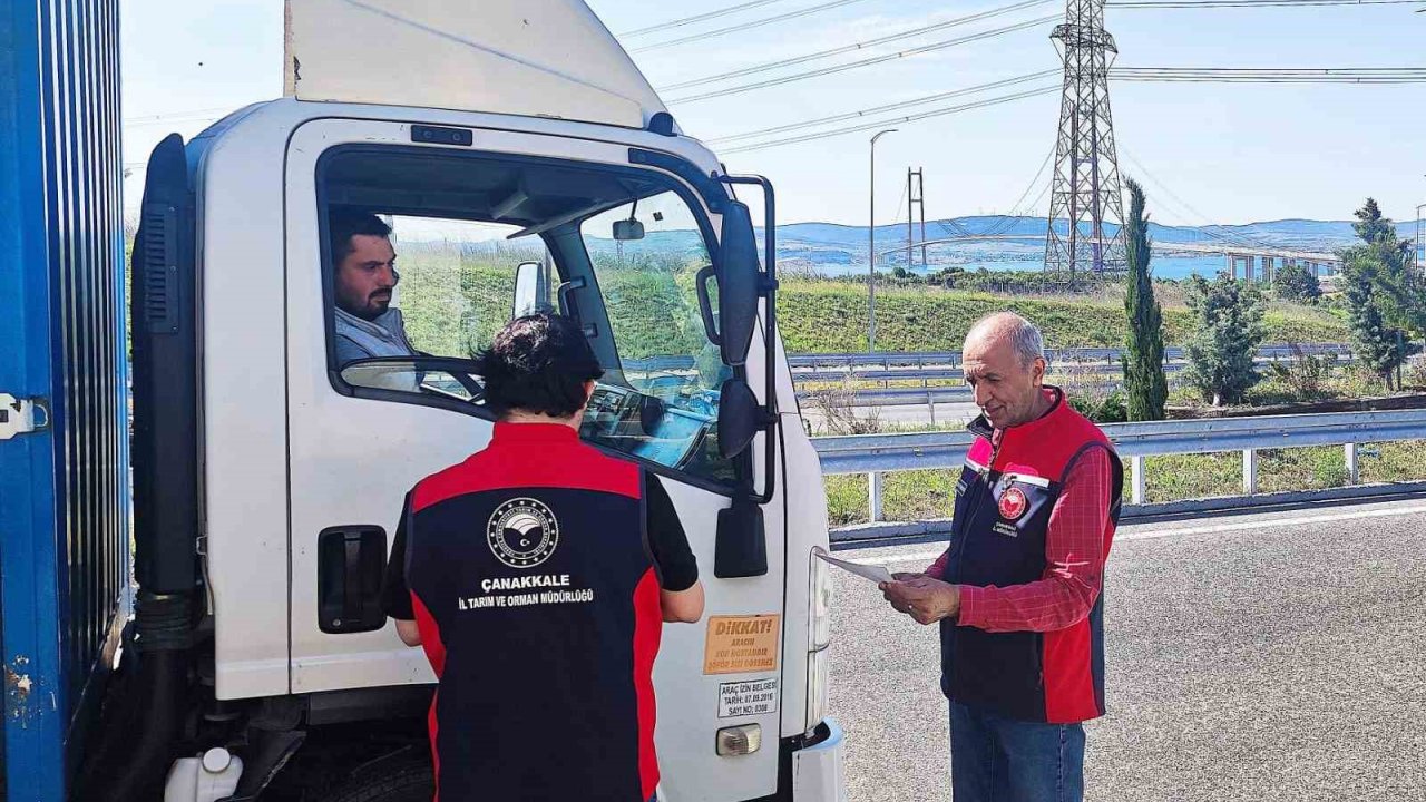 Çanakkale’de Kurban Bayramı Öncesi Hayvan Denetimleri Devam Ediyor