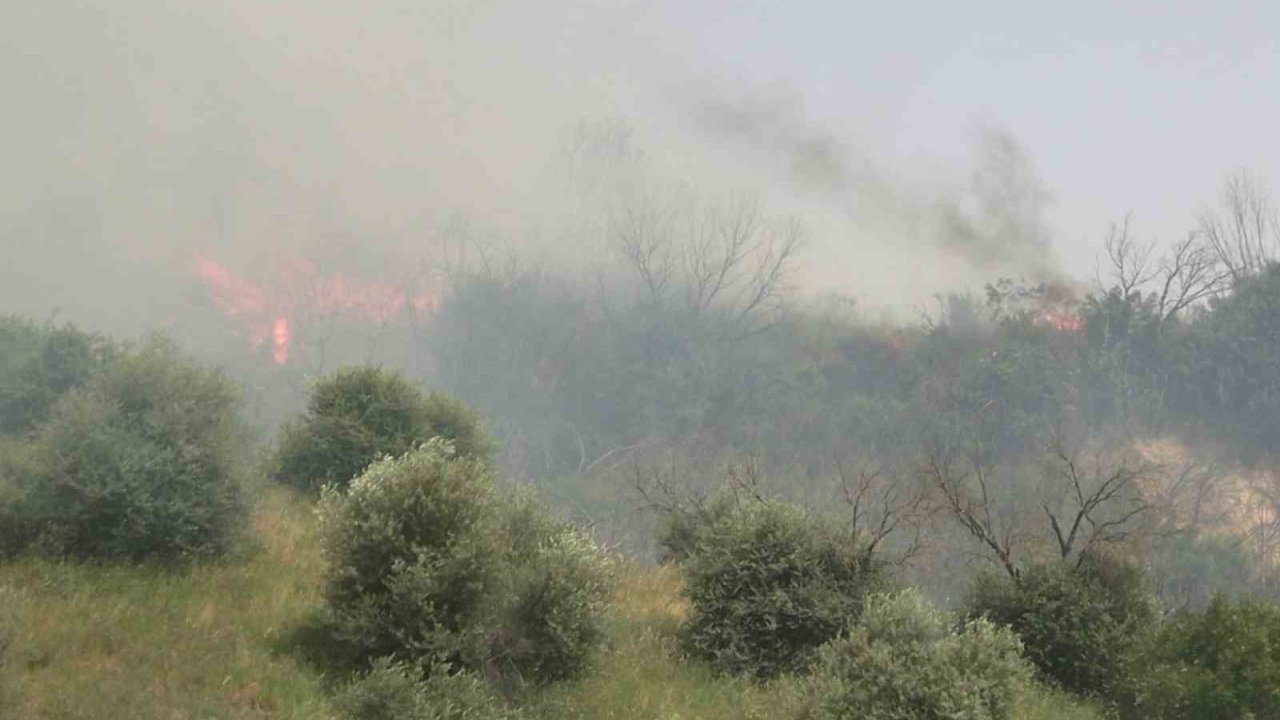 Aydın’daki Yangın Kontrol Altına Alındı