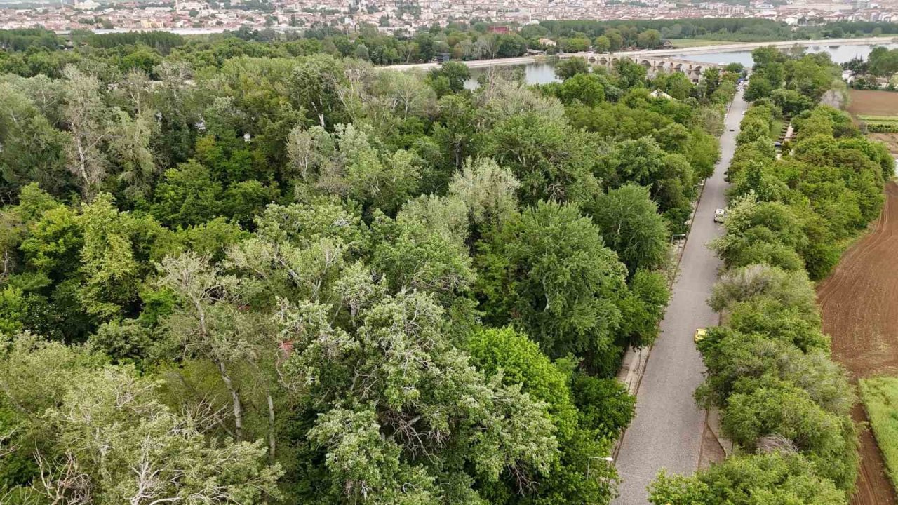 Edirne Millet Bahçesi’ne Kavuşuyor