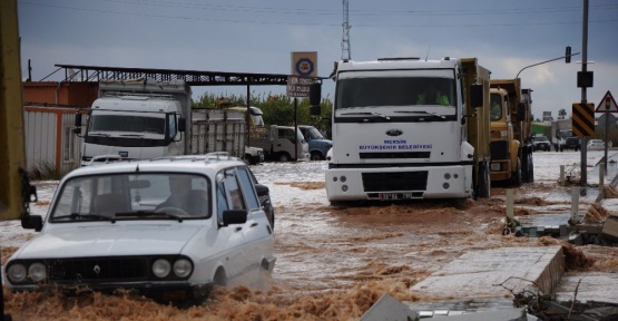 Sele meydan okudular