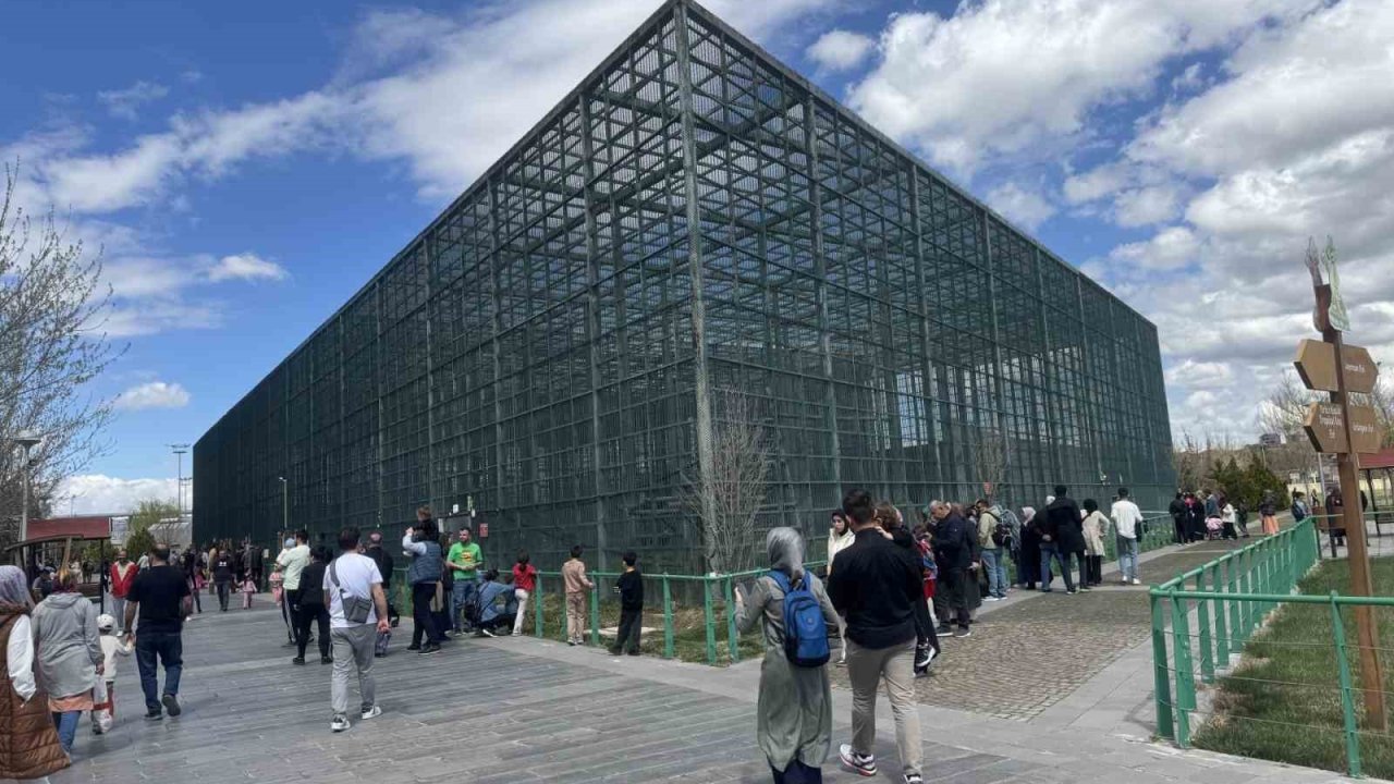 Hayvanat Bahçesini 19 Mayıs’ta 12 Bin Kişi Ziyaret Etti