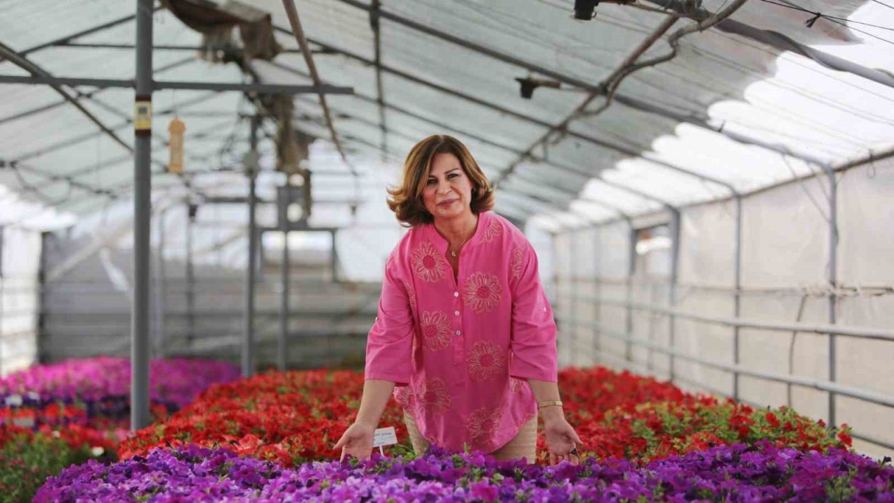 Eskişehir’i Süsleyecek 1 Milyon Çiçeğin Üretimi Büyükşehir’den