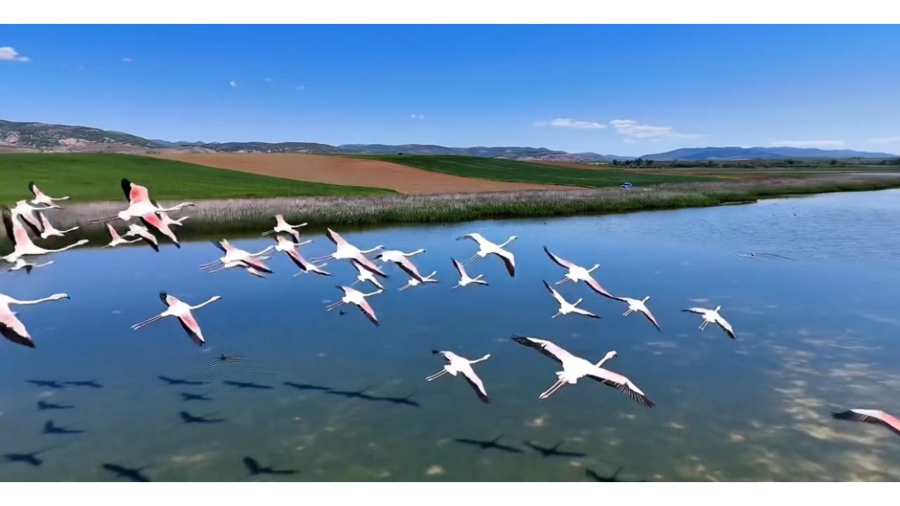 Jandarmadan Uyuz Gölünde Kuş Devriyesi
