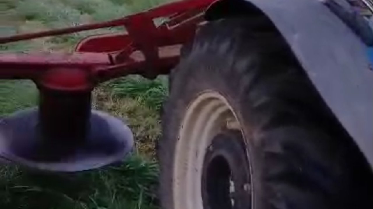 Çiftçinin Dikkati 8 Köpek Yavrusunu Ölümden Kurtardı