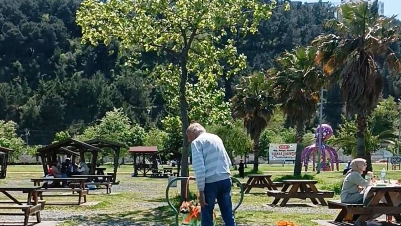 Köpeğin Park Keyfi Görenlere Tebessüm Ettirdi