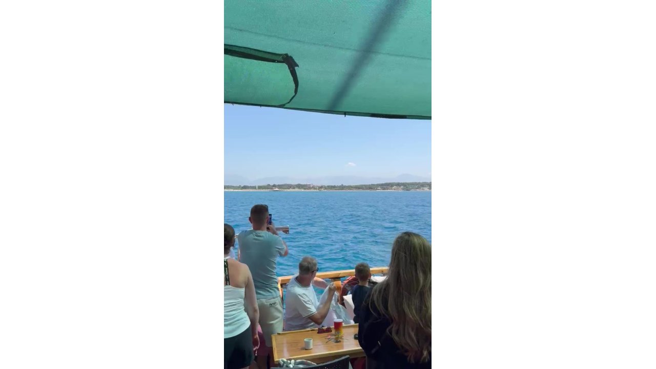 Side Açıklarında Akdeniz Foku Görüntülendi, Turistler Hayretler İçinde İzledi