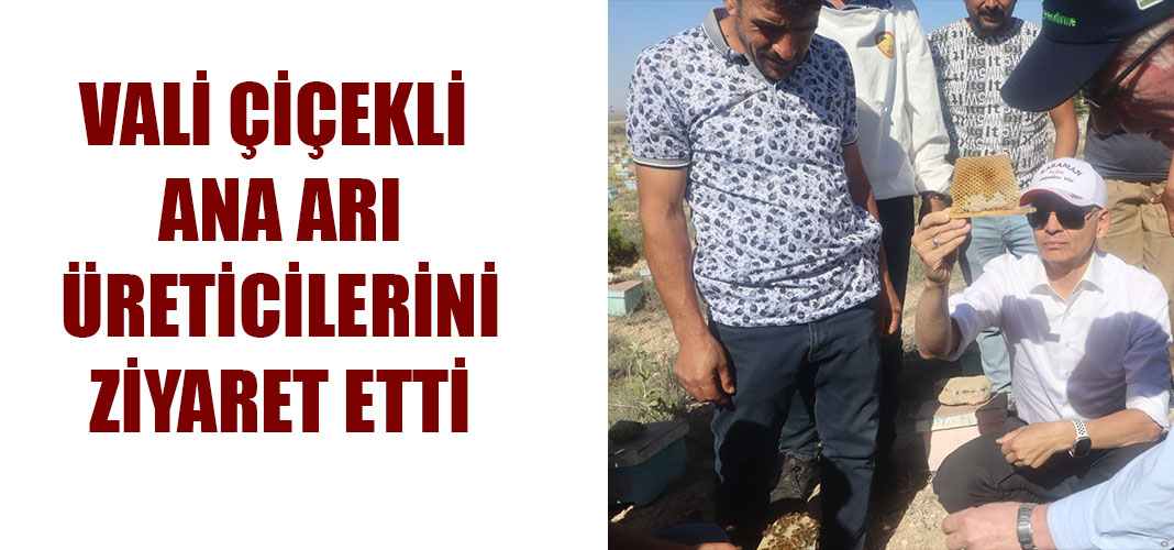 VALİ ÇİÇEKLİ ANA ARI ÜRETİCİLERİNİ ZİYARET ETTİ