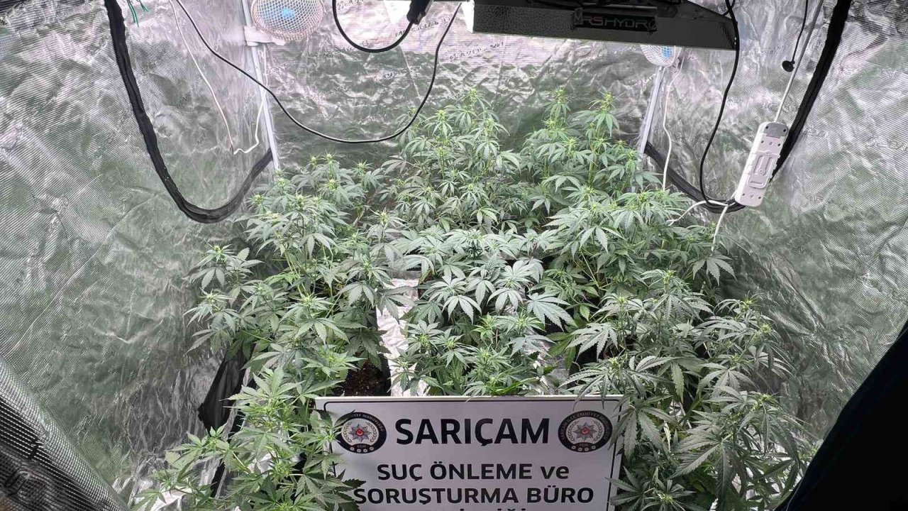 Apartman Dairesine Uyuşturucu Serası Kurmuşlar: 3 Gözaltı