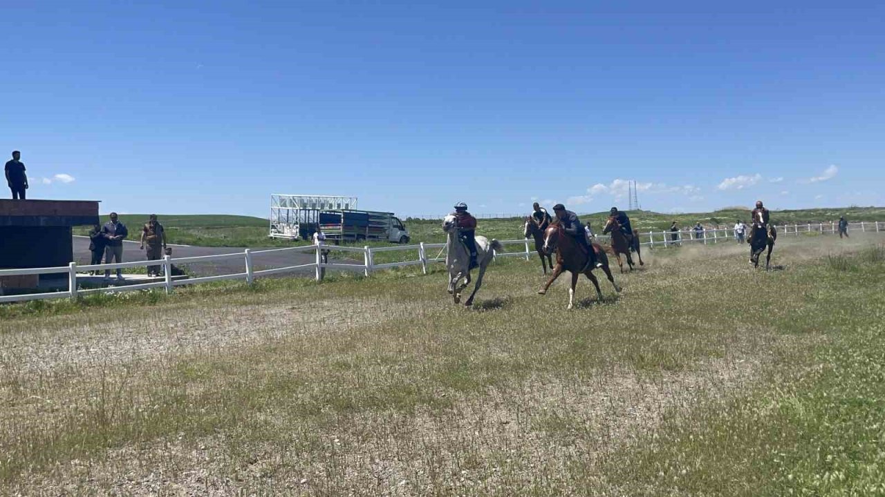 Malazgirt’te Geleneksel At Yarışması
