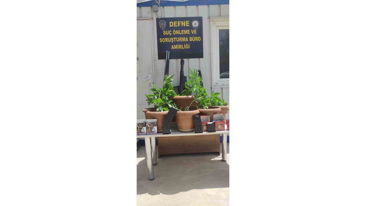 Defne’de Saksı İçerisine Ekili 19 Kök Hint Keneviri Bitkisi Ele Geçirildi