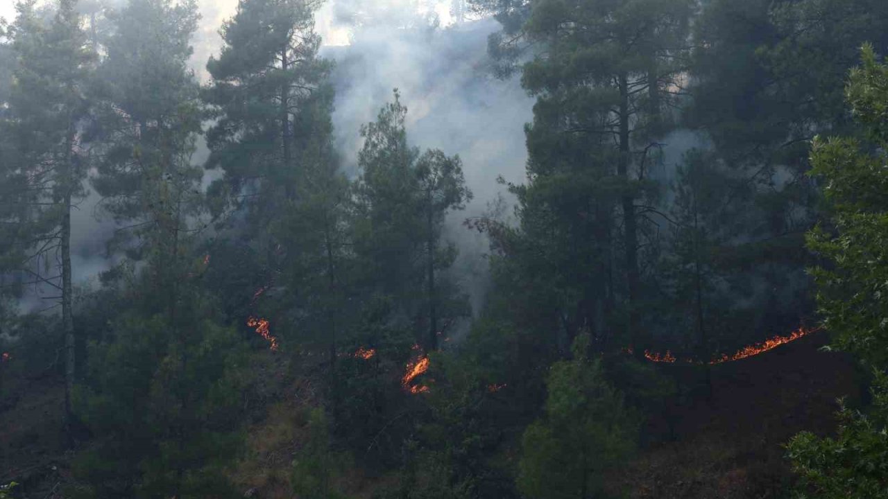 Kahramanmaraş’ta Orman Yangını
