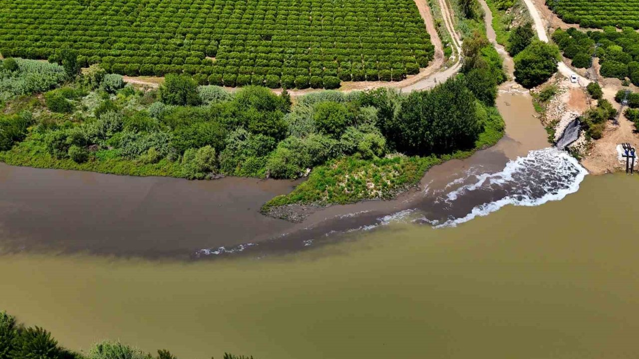Ceyhan Nehri Kirlilikten Köpürdü