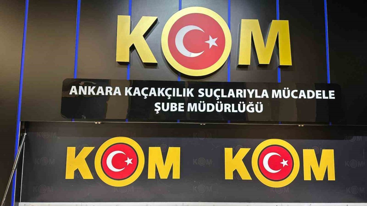 Ankara Merkezli 5 İldeki Operasyonlarda 96 Egzotik Hayvan Ele Geçirildi