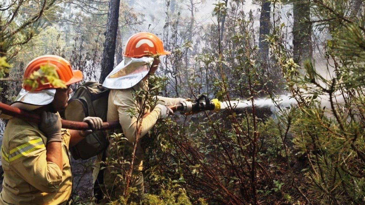 Kütahya’da Orman Yangını Büyümeden Söndürüldü