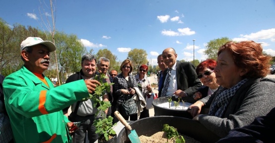 Bahçıvanlık kayıtları başlıyor