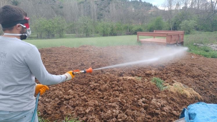 Yaz Mevsimi Öncesi Sağlıklı Çevre