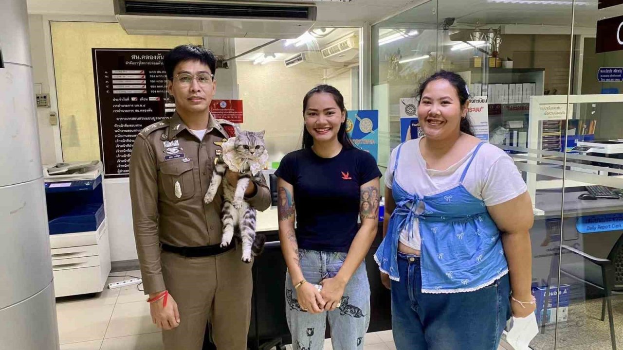 Tayland’da Polisleri Isıran Kedinin Sabıka Fotoğrafı Çekildi, Pati İzi Alındı