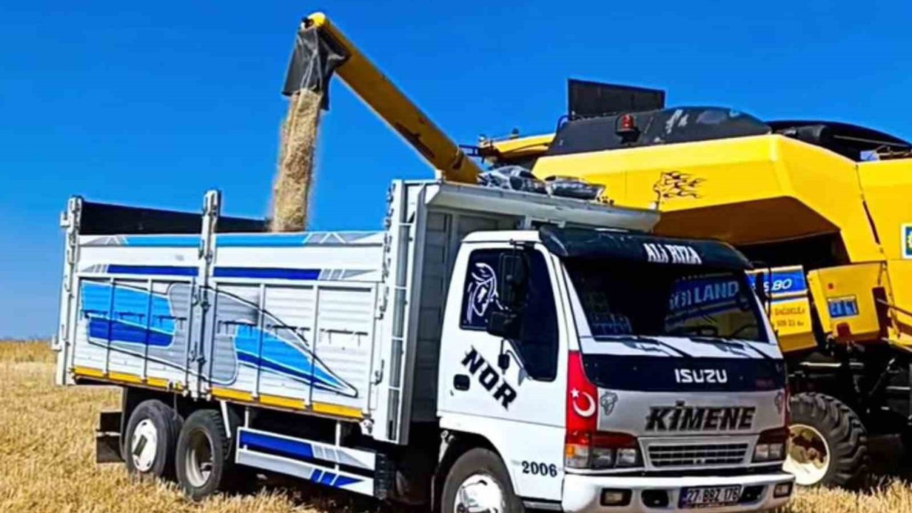 Araban’da, 2025 Yılının İlk Buğday Hasadı Yapıldı