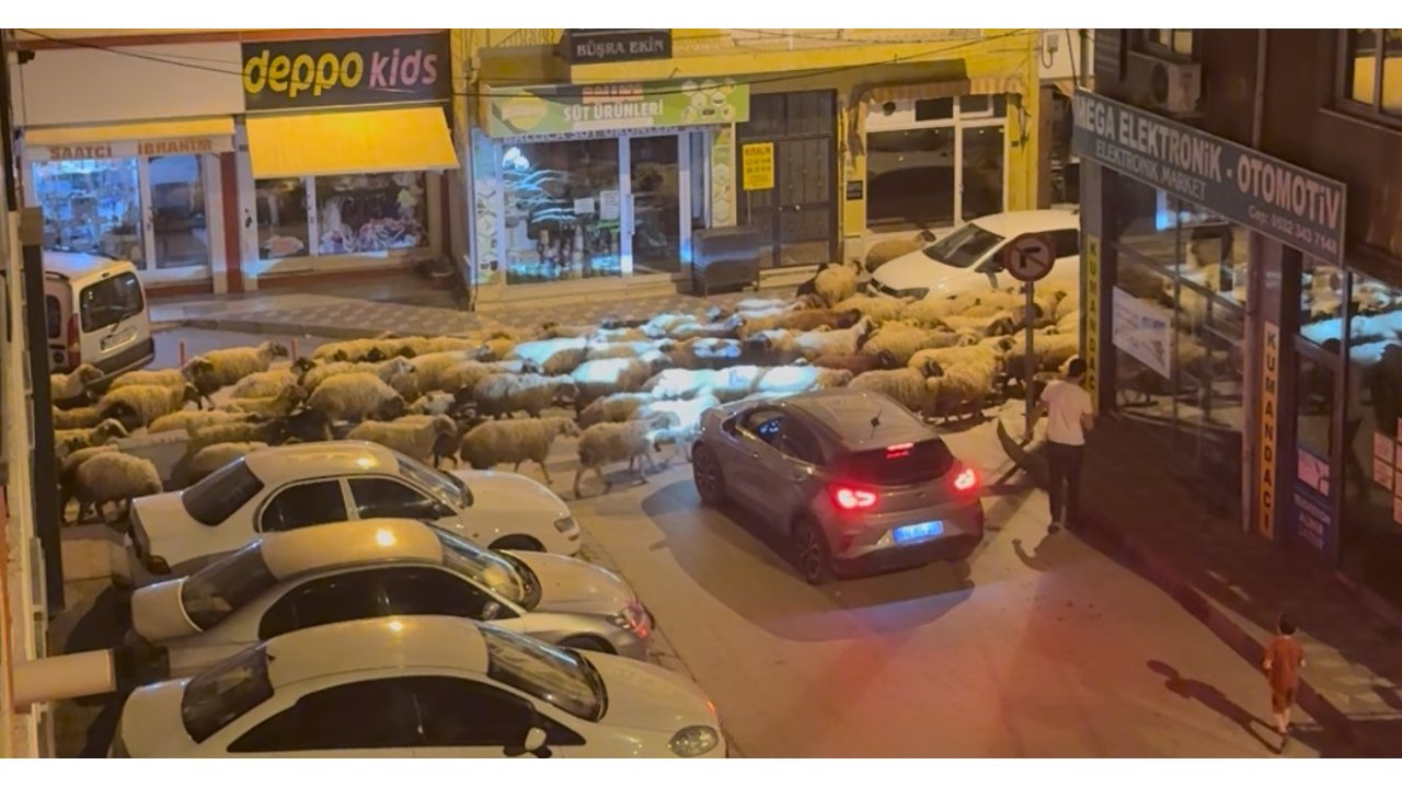 Tokat’ta Gece Başlayan Yayla Göçü Dronla Görüntülendi