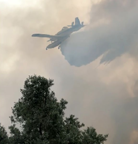 İzmir’de Zeytinlik Alandaki Yangın Kontrol Altında