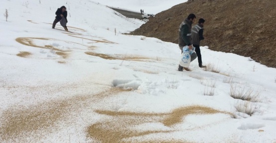 Van’da yaban hayvanları için doğaya yem bırakıldı