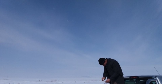 Saray’da doğaya yem bırakıldı