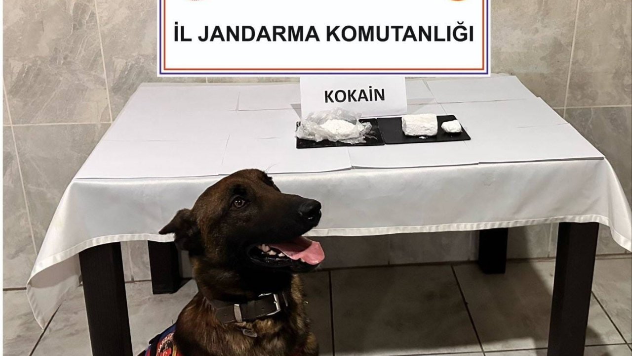 Yatağan’da Yolcu Otobüsünde 290 Gram Kokain Yakalandı