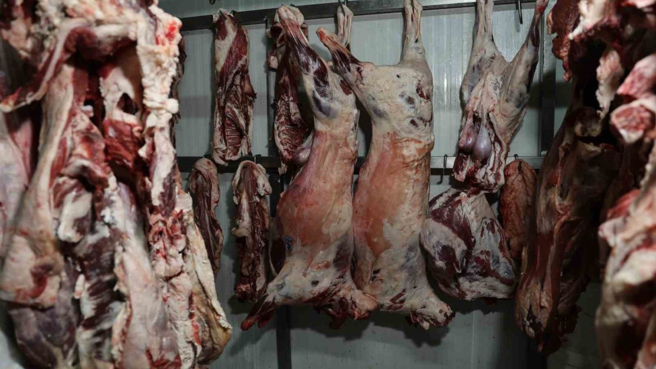 At Ve Eşek Eti Haberleri Adanalıları Rahatsız Etti