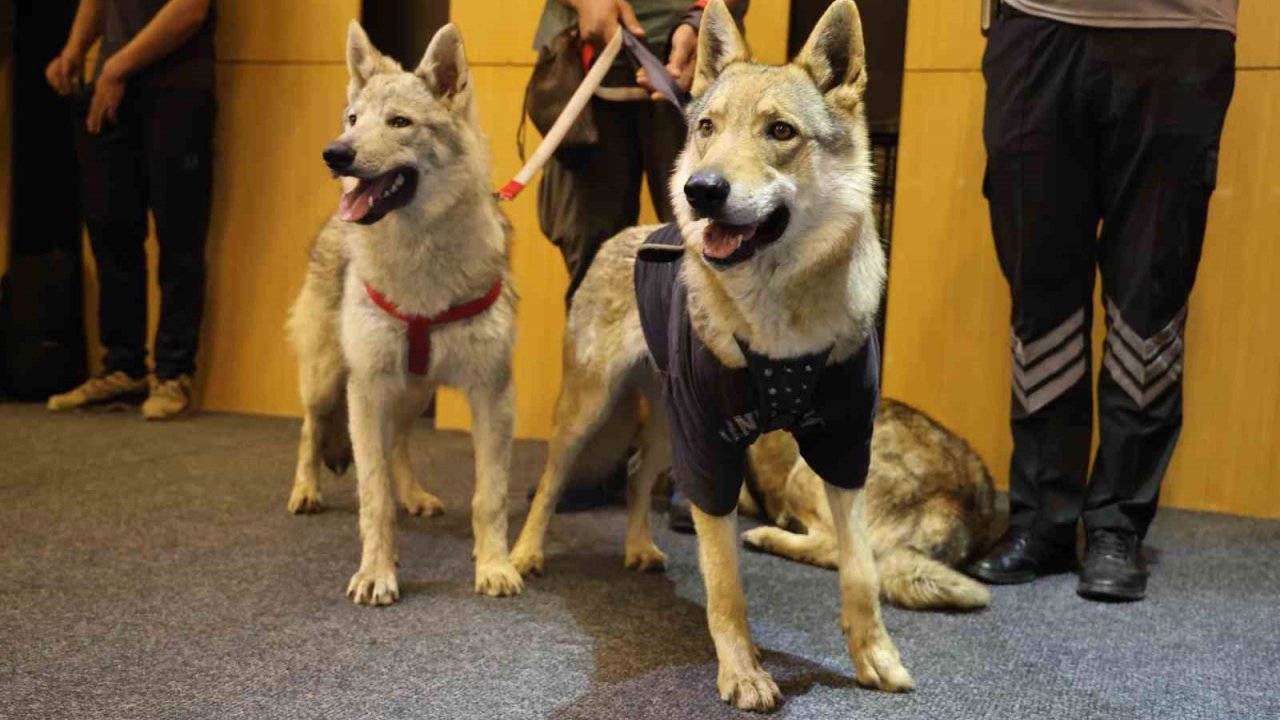 Panelin Eşi Benzeri Görülmemiş Katılımcıları Dikkat Çekti