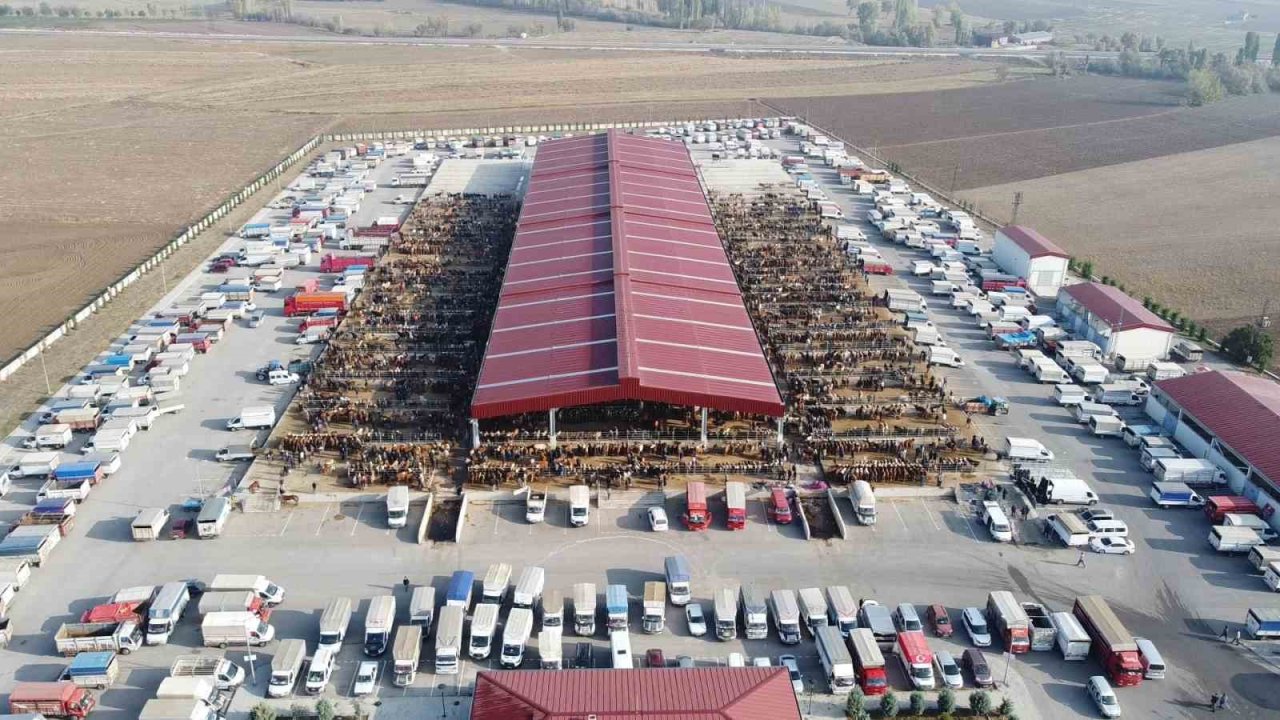 Çoru’da Kurban Pazarı Yarın Açılıyor