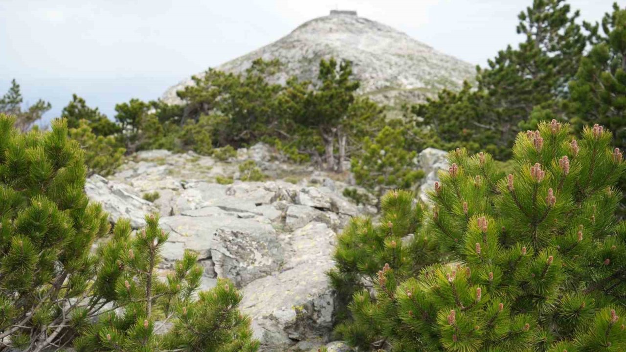 Kazdağları’nın Zirvesi Sarıkız Doğa Severlerin İlgisini Çekiyor