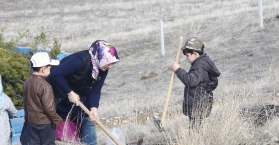 Yunak’ta fidanlar toprakla buluştu