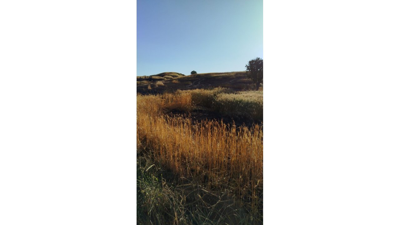 Batman’da Soda Şişesi 100 Dönümlük Ekili Araziyi Küle Çevirdi