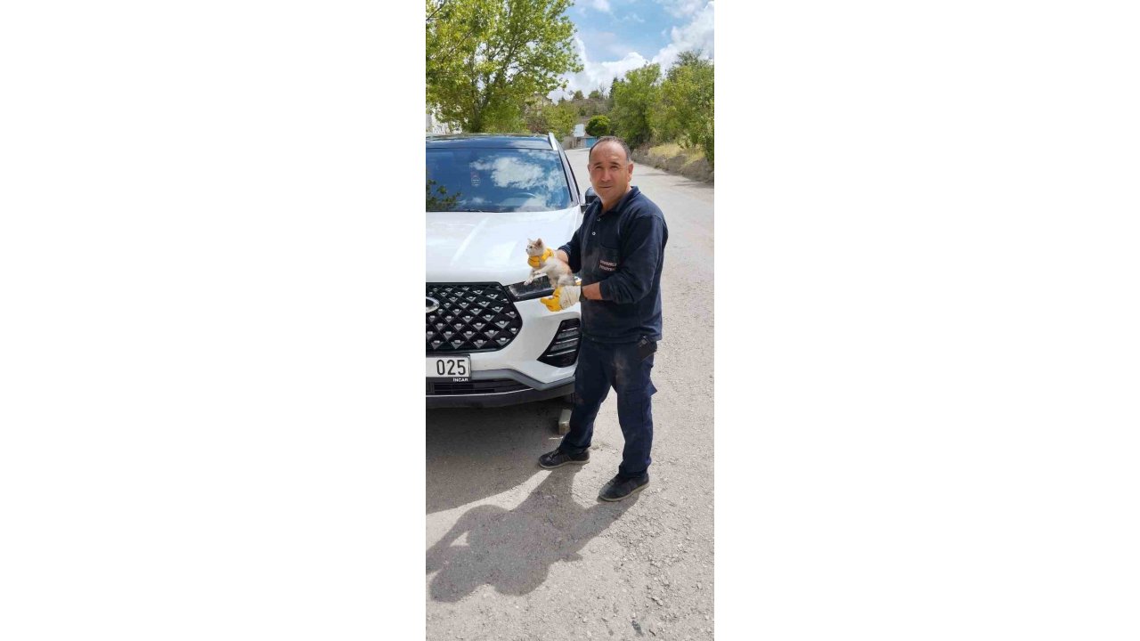 Cipin Motor Kısmına Sıkışan Yavru Kediyi İtfaiye Kurtardı