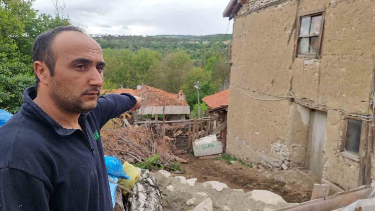 Kütahya’da Kurtların Saldırısında 11 Koyun Telef Oldu