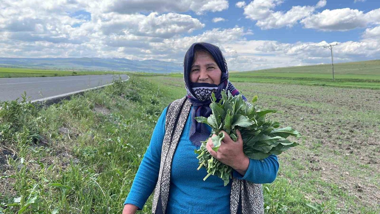 Karslı Kadınların ‘Evelik’ Mesaisi Başladı