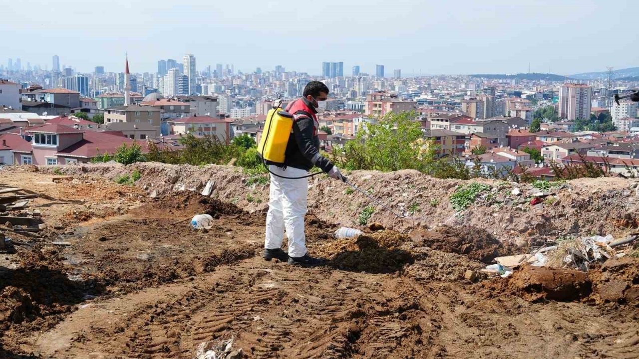 Kurban Bayramı Öncesi Ataşehir’de Denetimler Artırıldı