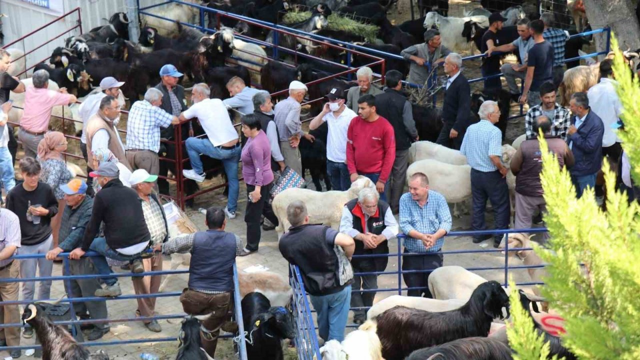 Bozdoğan Belediyesi’nden Kurban Bayramı Öncesi Satış Yeri Hizmeti