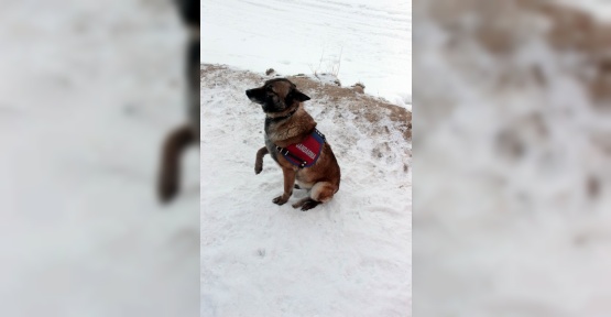 Göçük altında kalanların umudu ’Ferda’