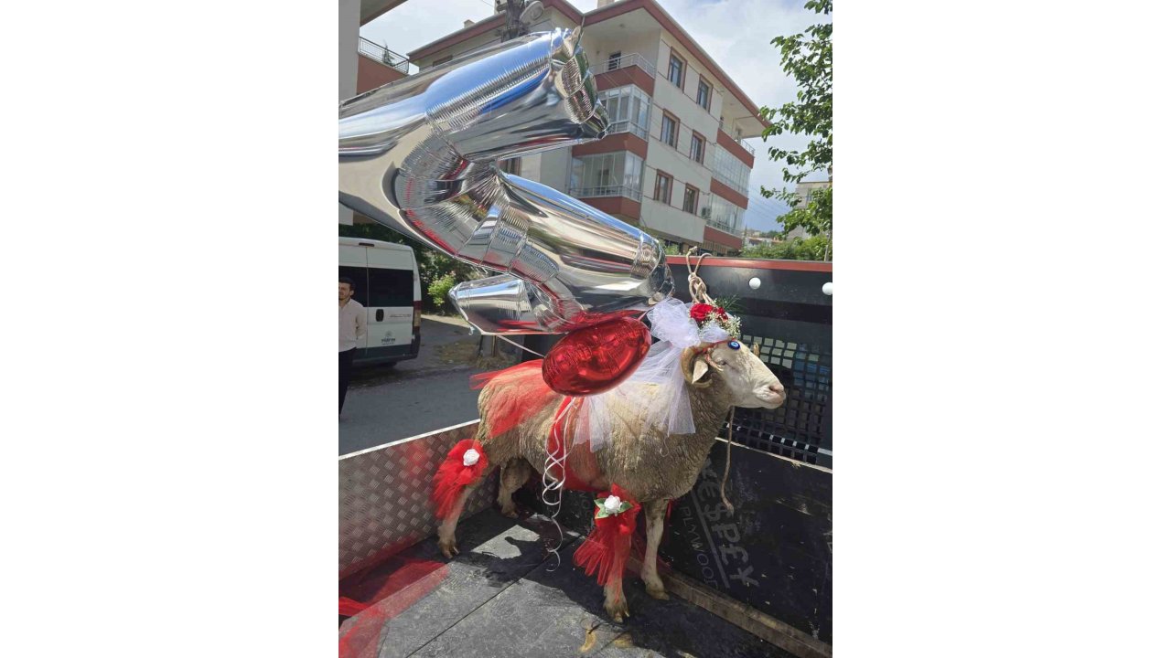 Beypazarı’nda Gelin Adaylarına ‘Koç Gönderme’ Geleneği Devam Ediyor