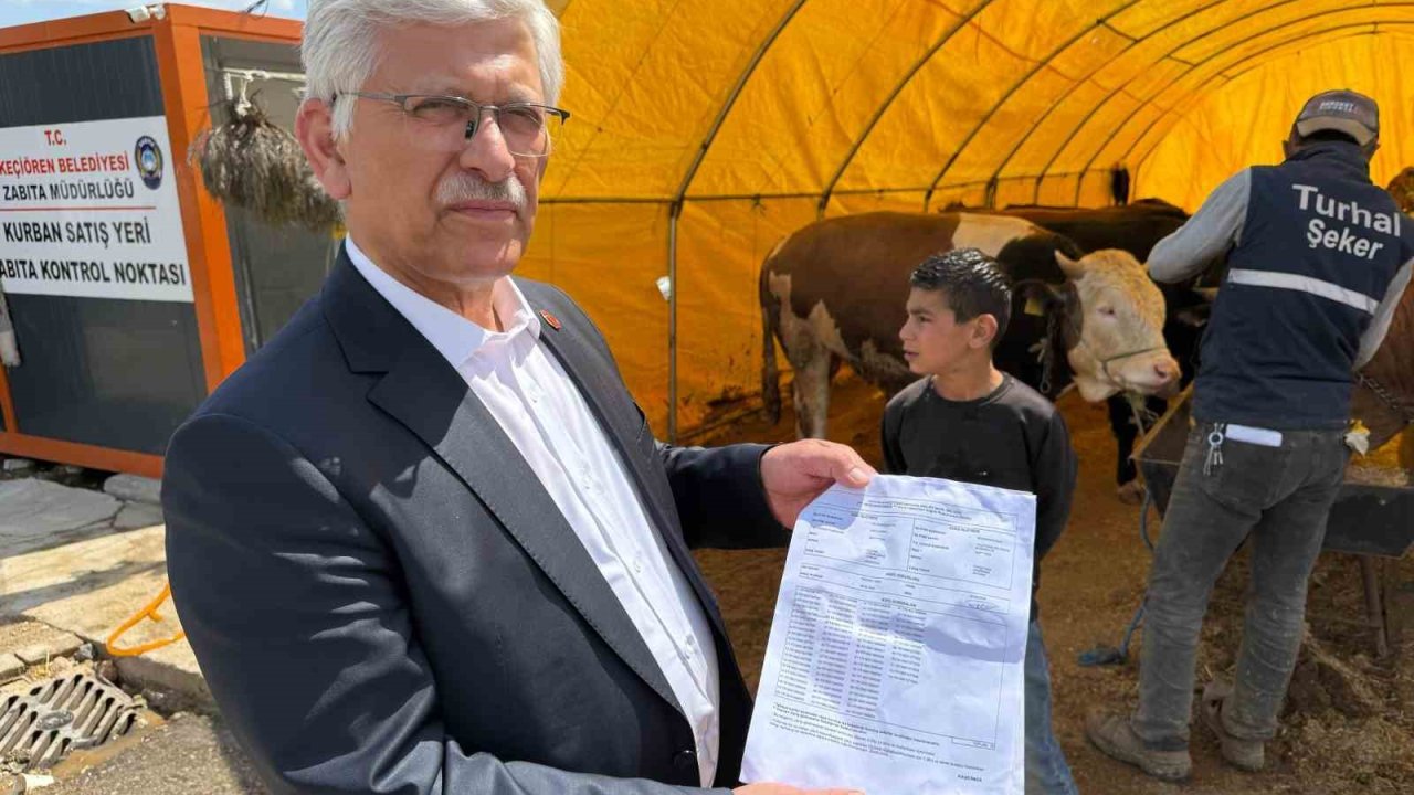 Tvhb Merkez Konseyi Başkanı Eroğlu, Kurban Pazarında Veteriner Hekimlerin Uğradığı Şiddete Dikkat Çekti