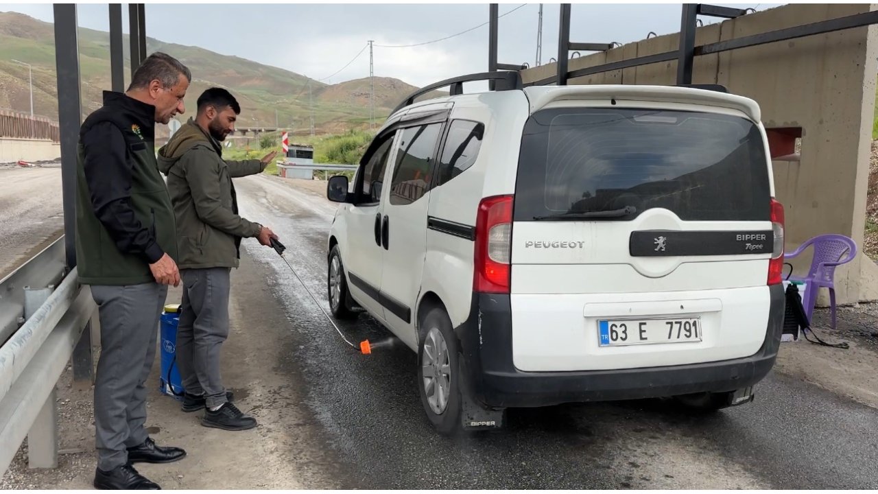Yüksekova’da Şap Hastalığı Alarmı