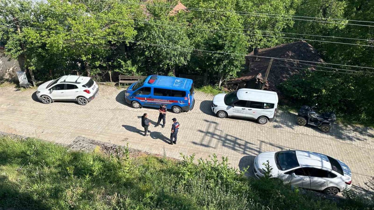 Karabük’teki Köpek Ölümleriyle İlgili İnceleme Başlatıldı