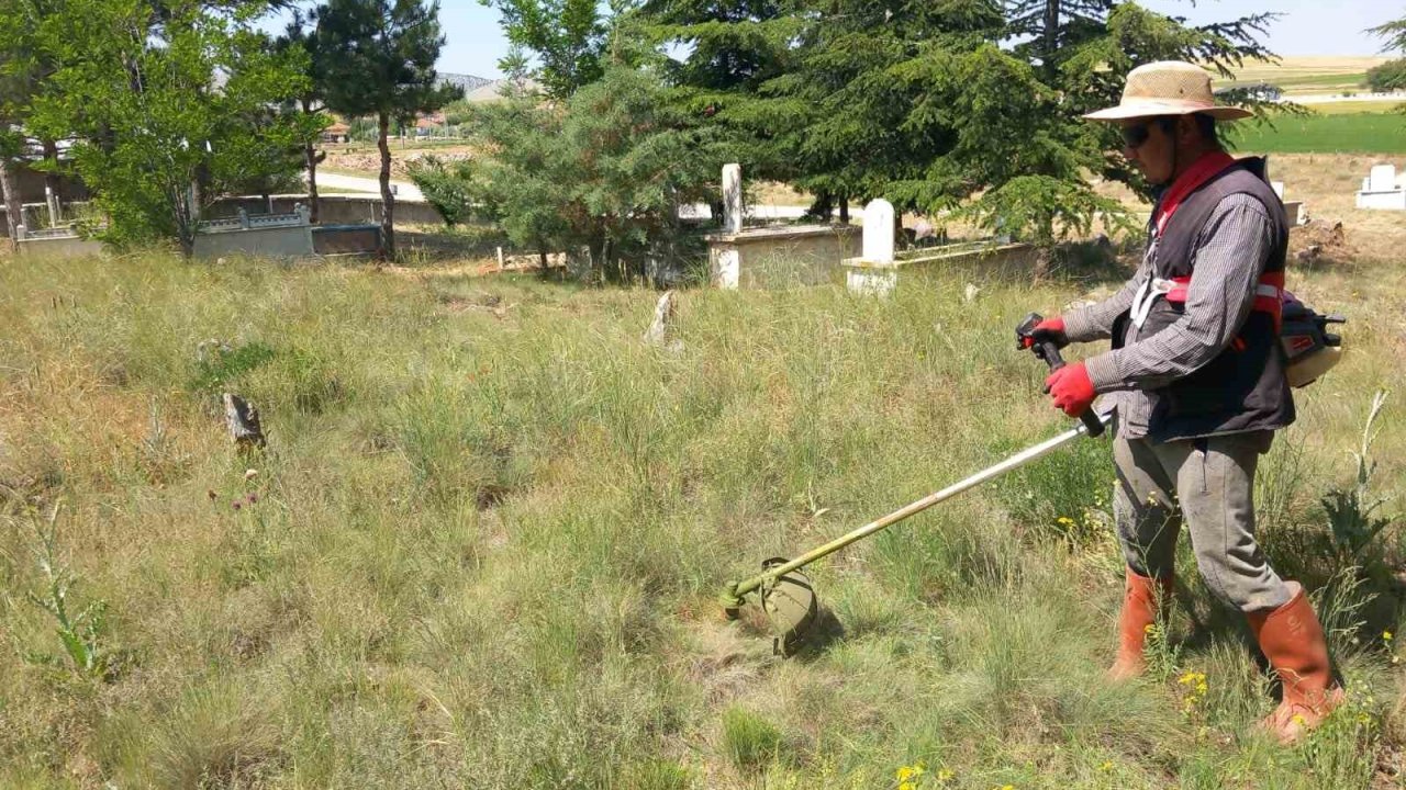 Yarımca Köyü Yabancı Otlardan Temizleniyor