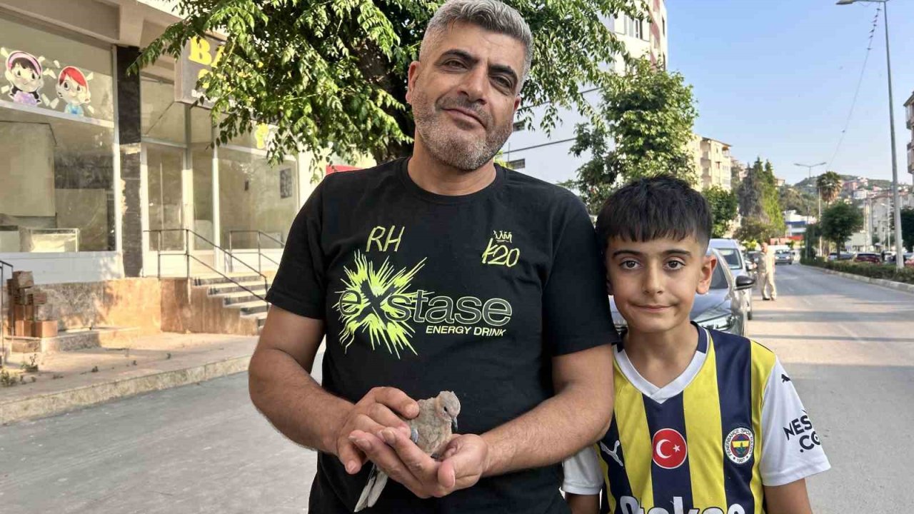 Yavru Kumruyu Kurtarmak İçin Seferber Oldu