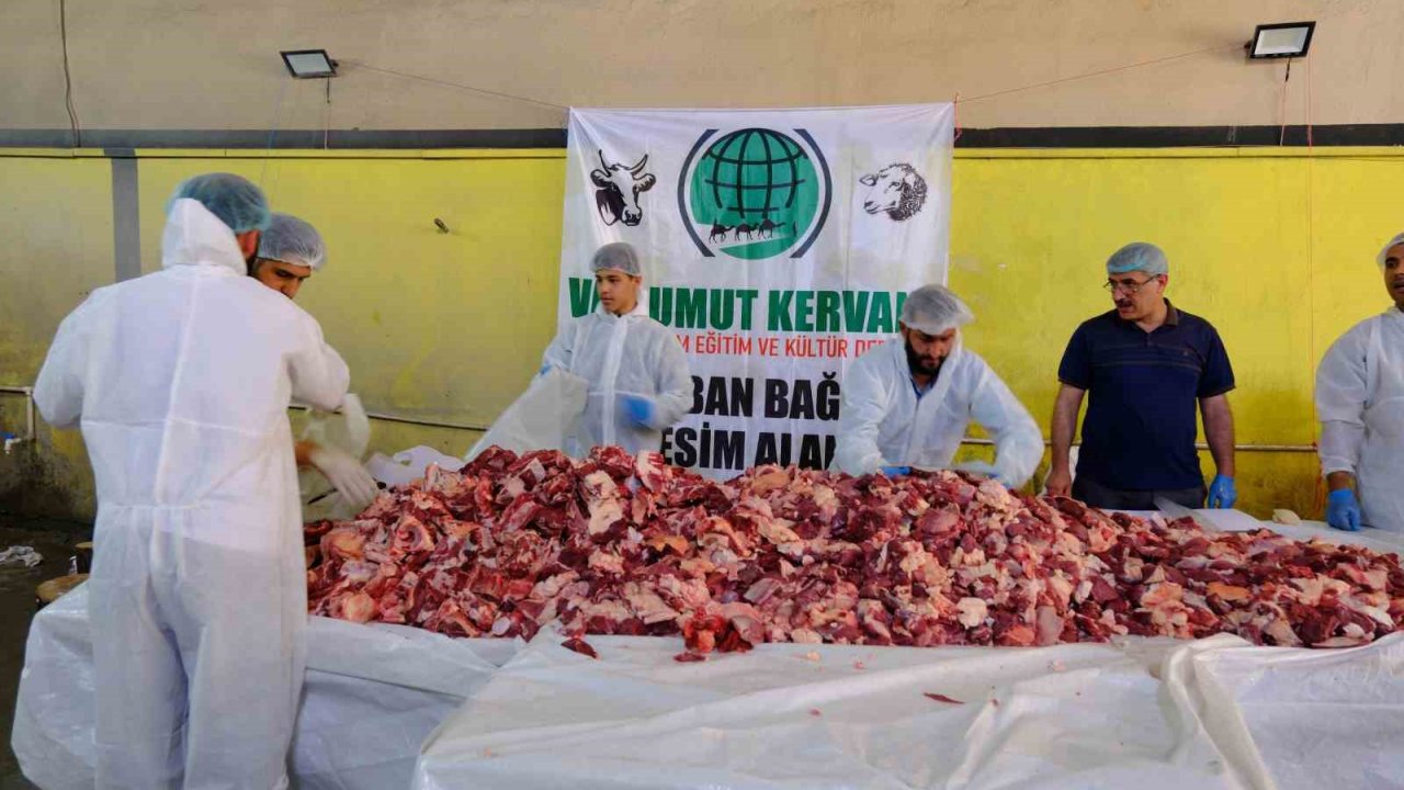 Van’da Geleneksel Toplu Kurban Kesimi