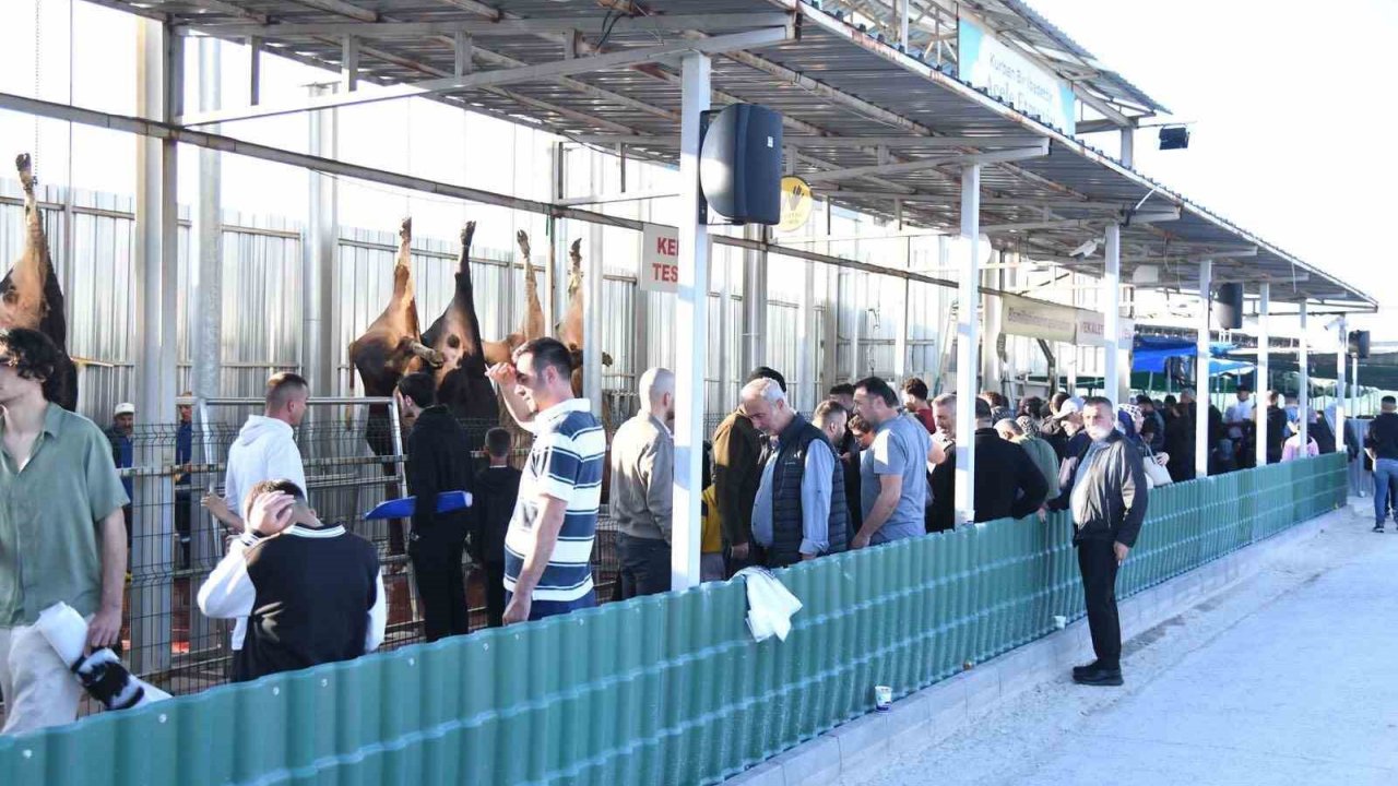 -pursaklar Belediyesi’nden Çevrim İçi Kurban Kesimi