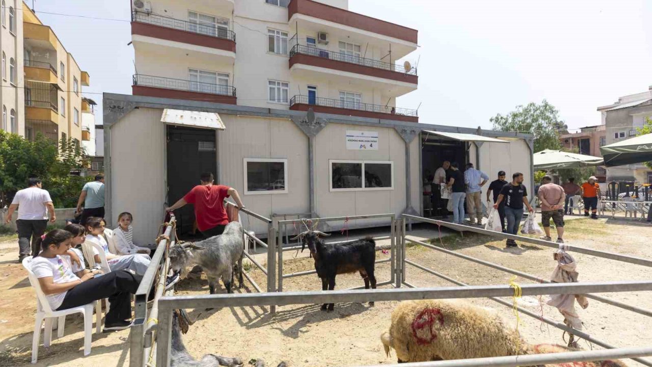 Mersin’de Kurban Kesimi Hem Hijyenik Hem Ücretsiz